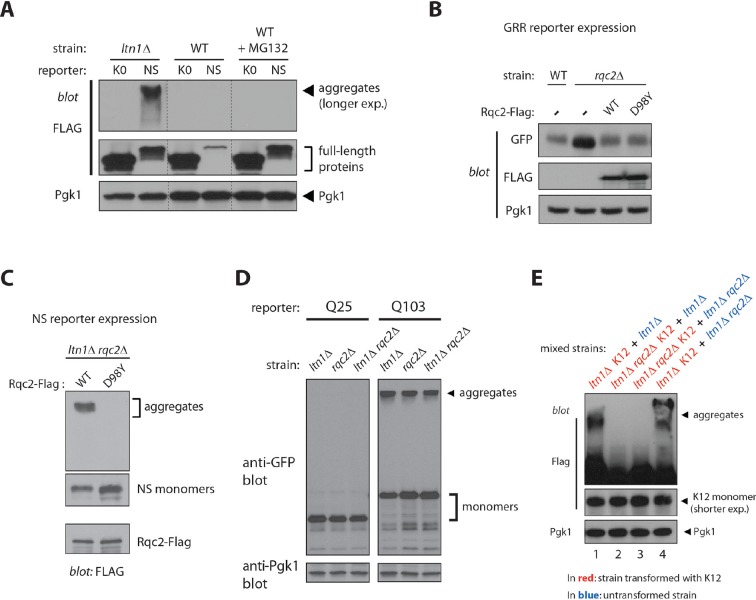 Figure 2—figure supplement 1.