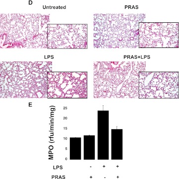 Fig. 10.