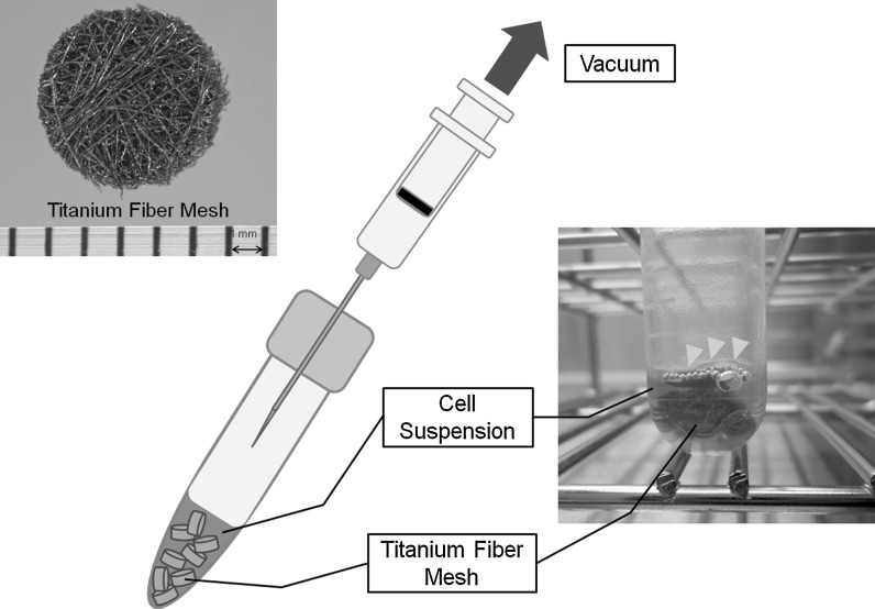 Fig. 2