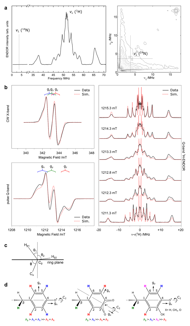 Extended data Figure 7