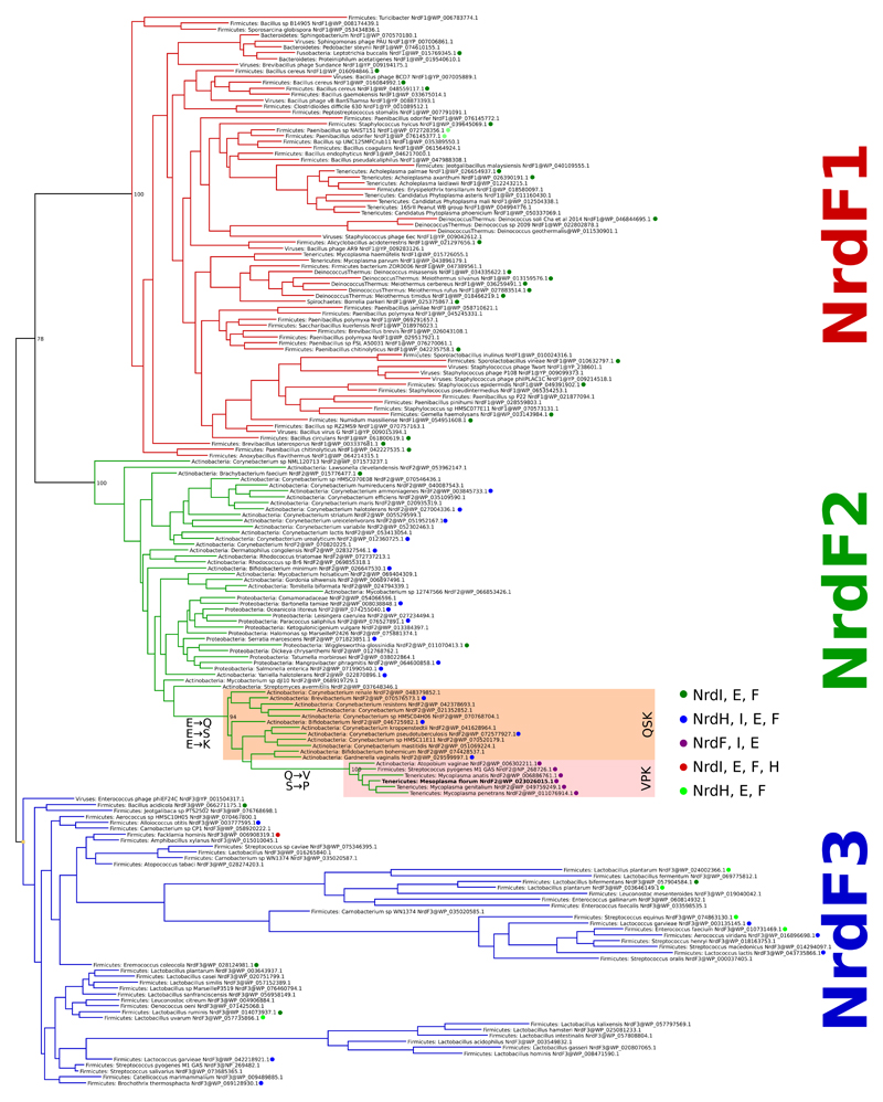 Extended data Figure 1