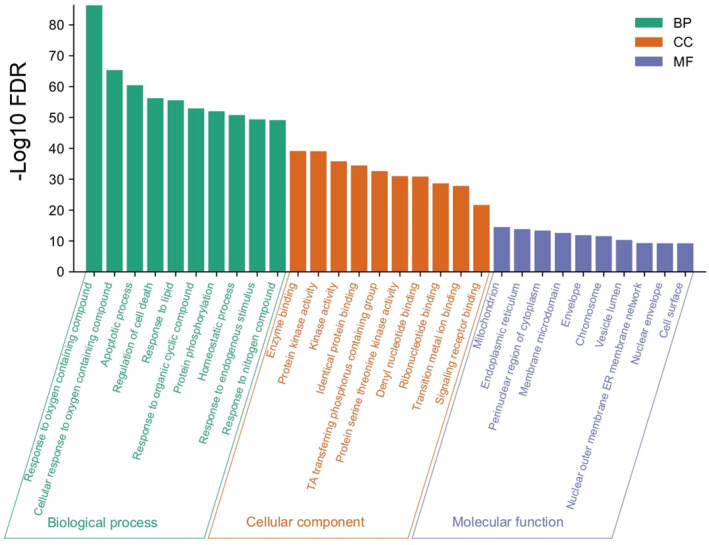 FIGURE 4