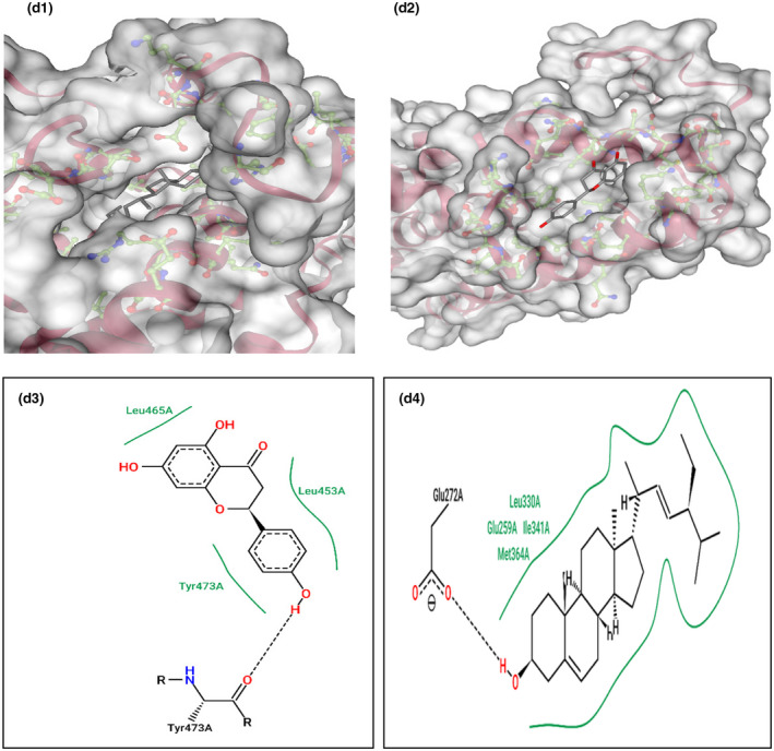 FIGURE 9