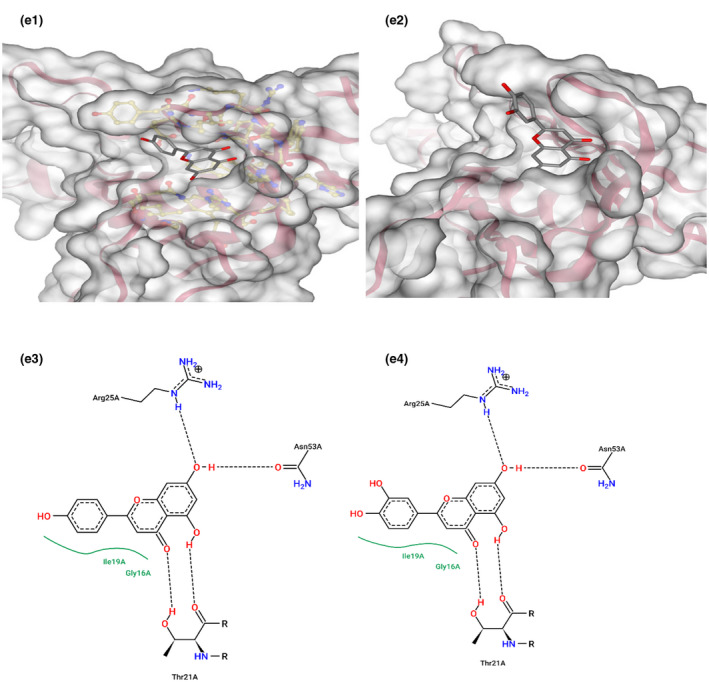 FIGURE 10