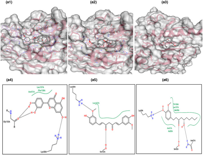 FIGURE 6