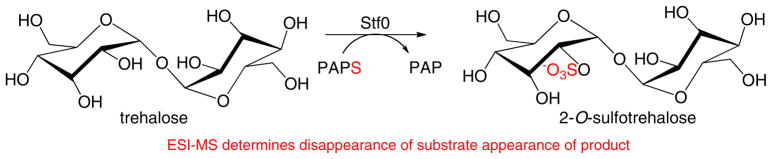 Scheme 6