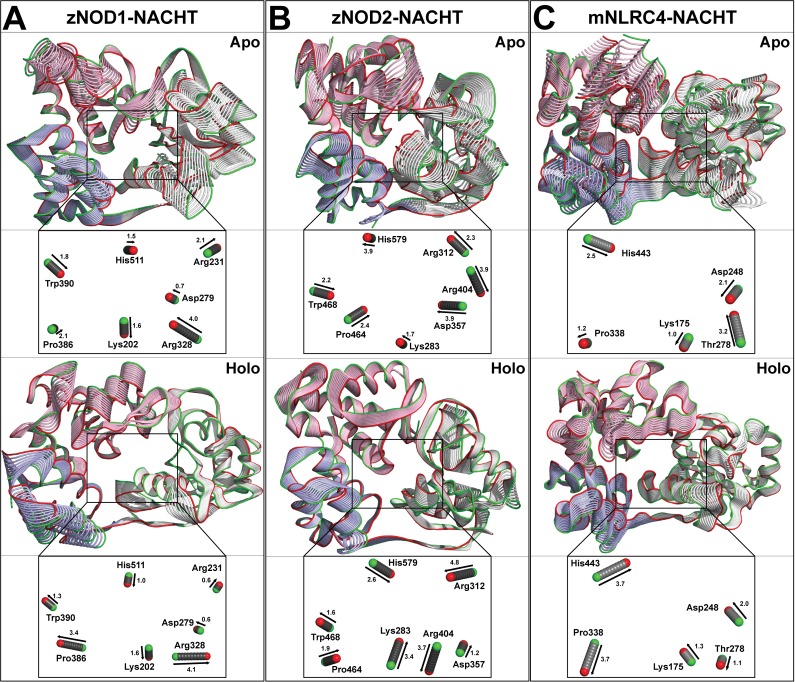 Fig 11