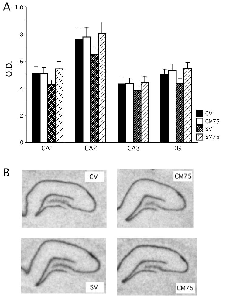 Fig 7