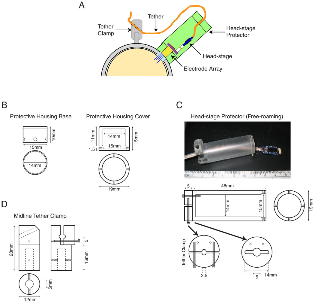 Fig. 2