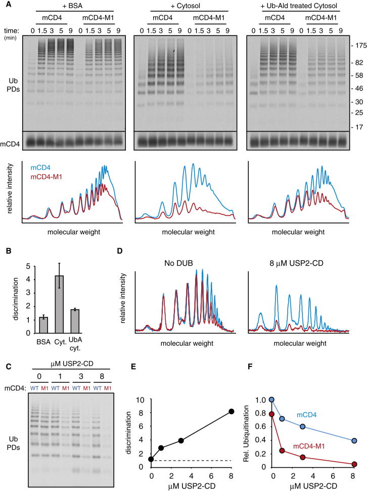 Figure 6