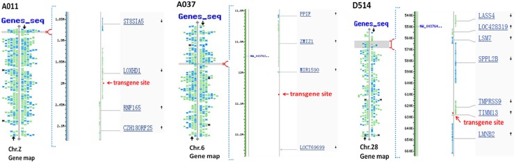 Fig 5