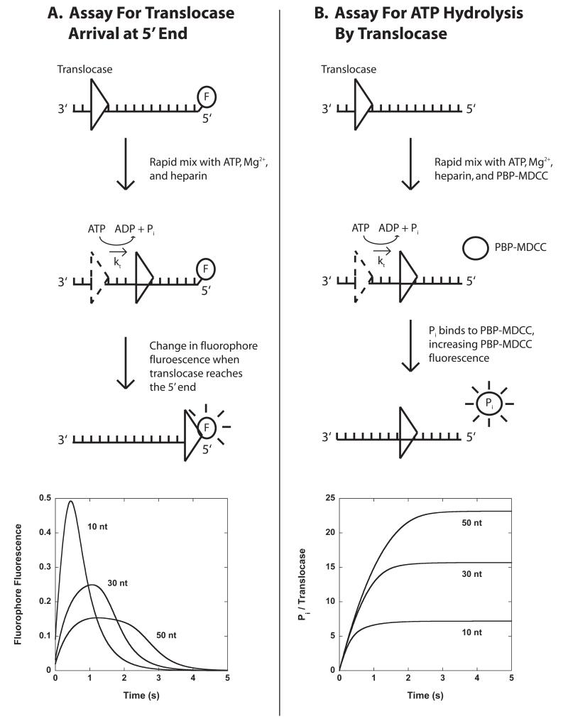 Figure 3.1