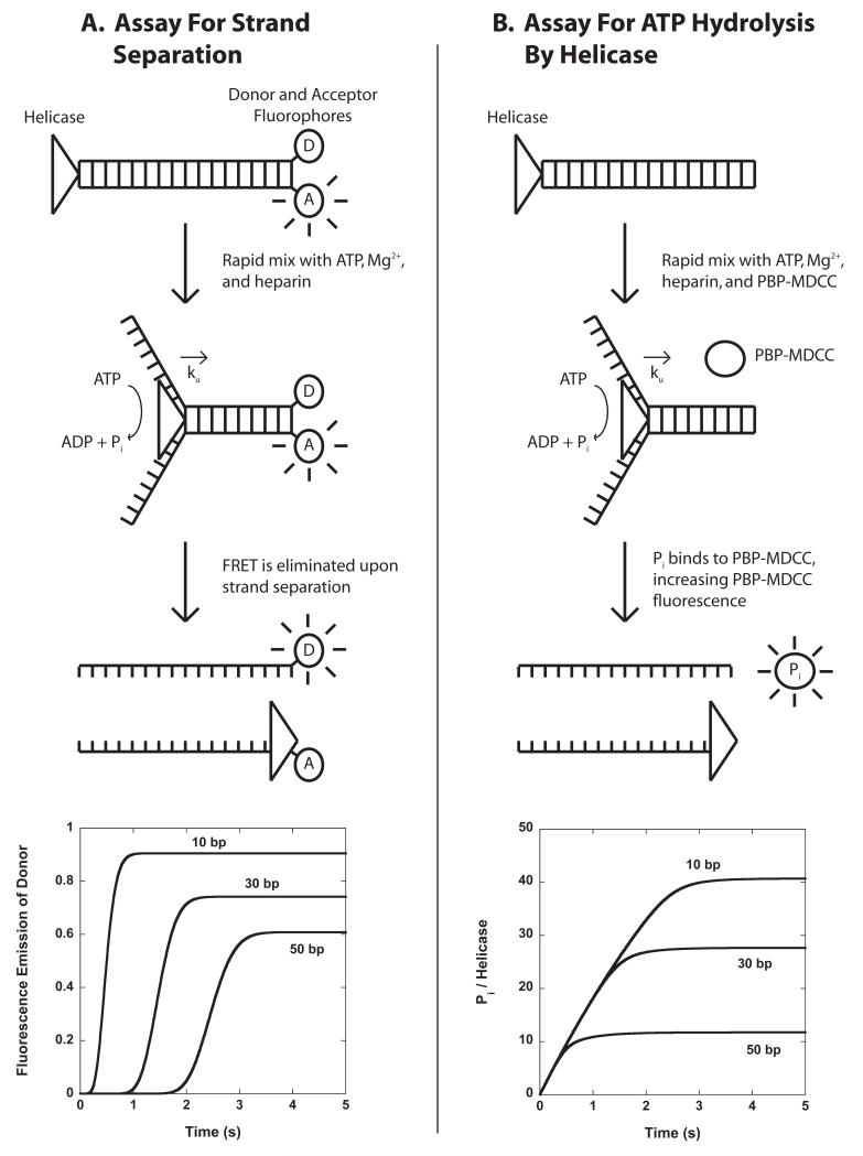 Figure 3.3