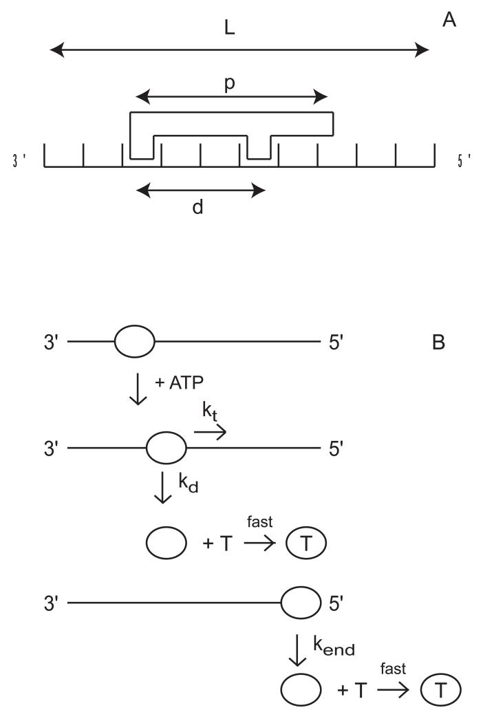 Figure 3.5