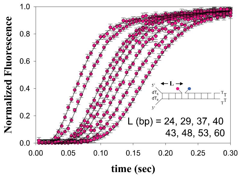 Figure 3.4