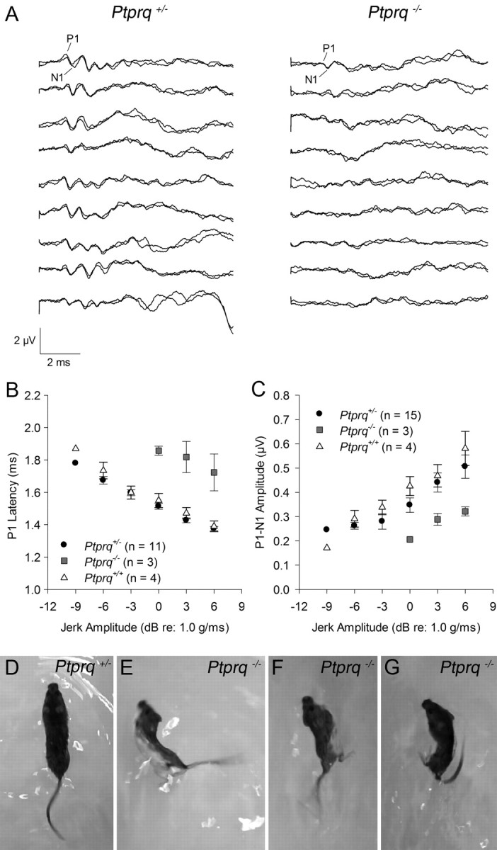 Figure 10.