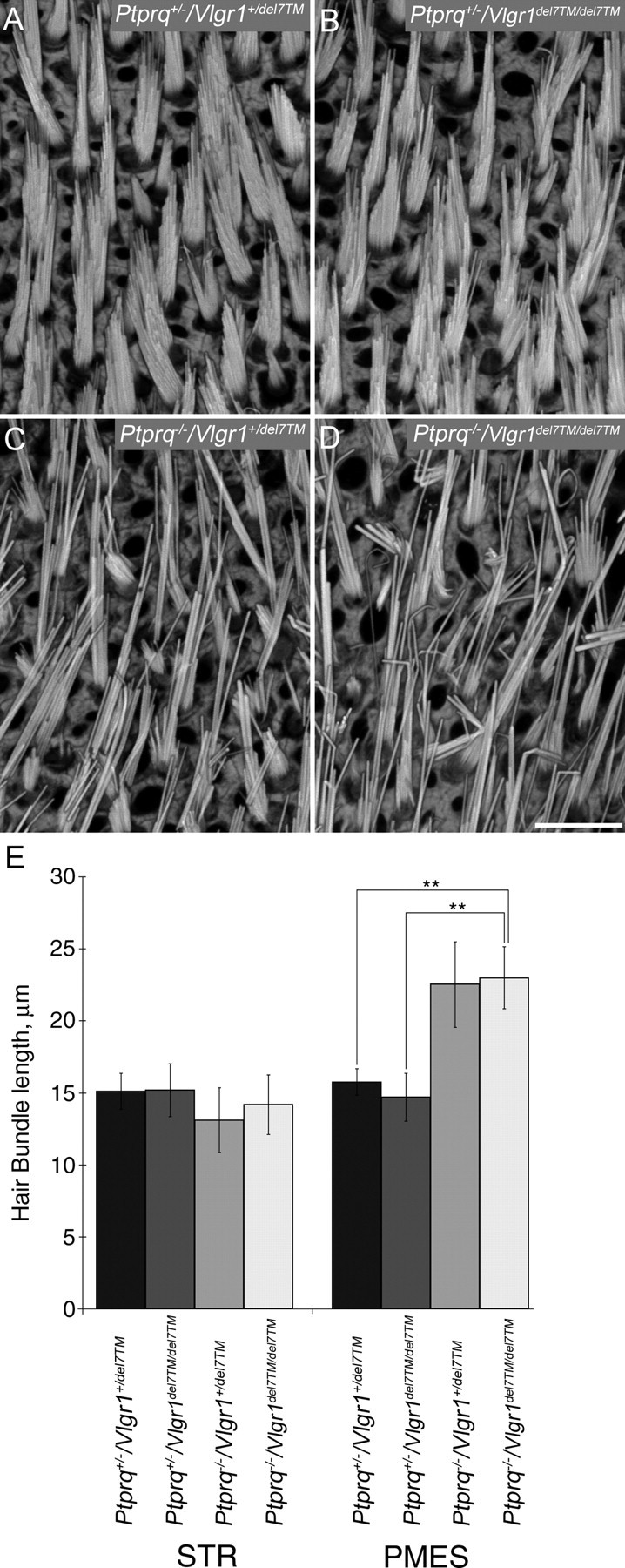 Figure 9.