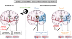 Graphical Abstract
