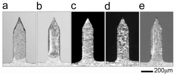 Fig. 10