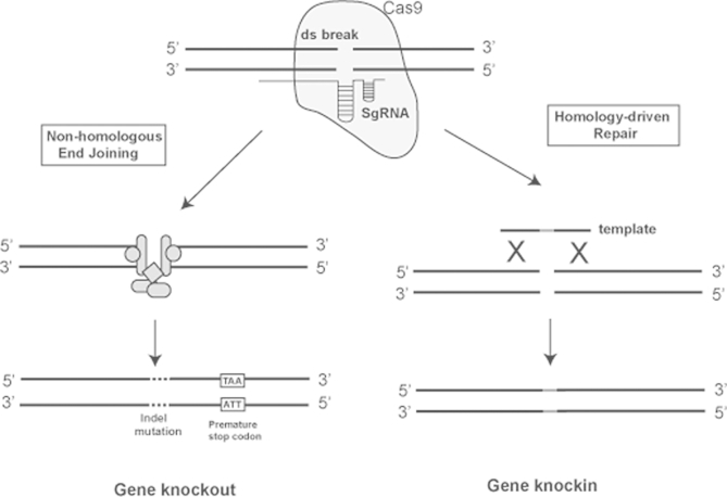 Fig. 4