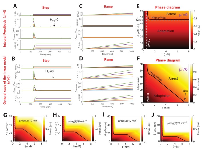 Figure 3—figure supplement 1.