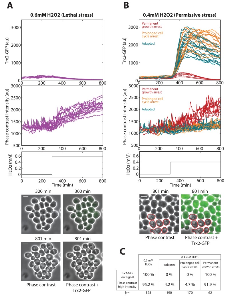 Figure 2—figure supplement 3.