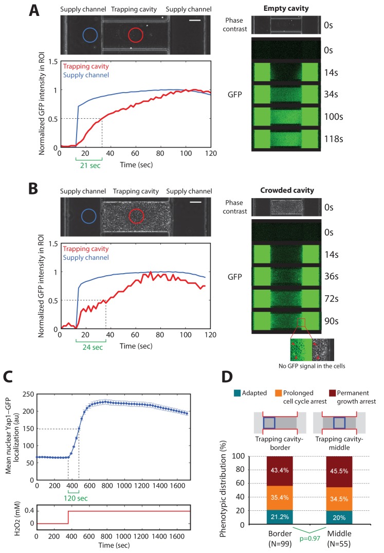 Figure 1—figure supplement 1.