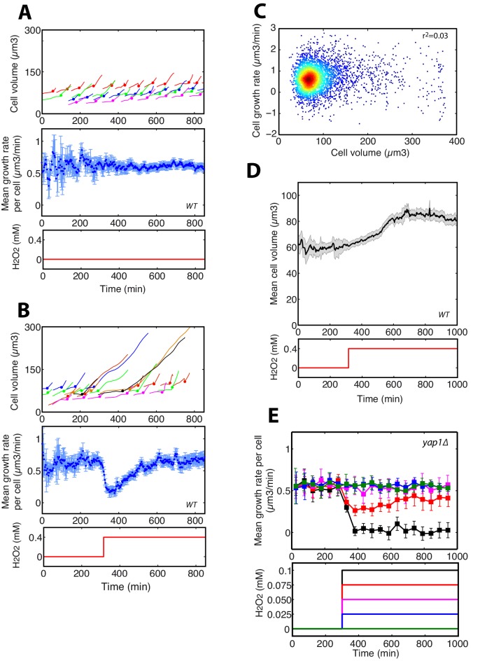 Figure 1—figure supplement 2.