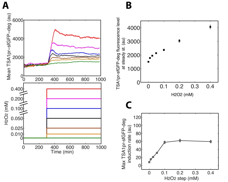 Figure 6—figure supplement 1.