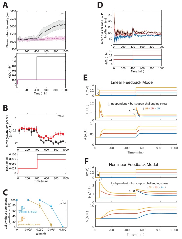 Figure 4—figure supplement 1.