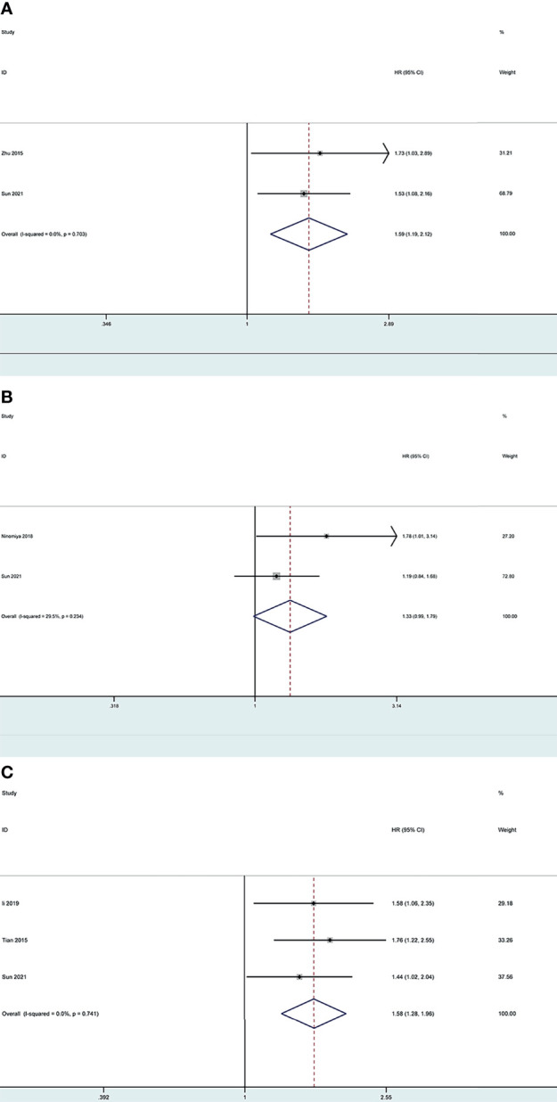 Figure 13