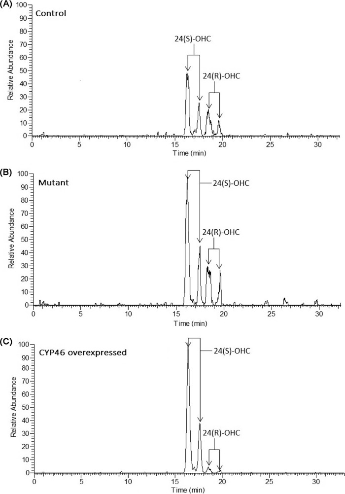 FIGURE 3.