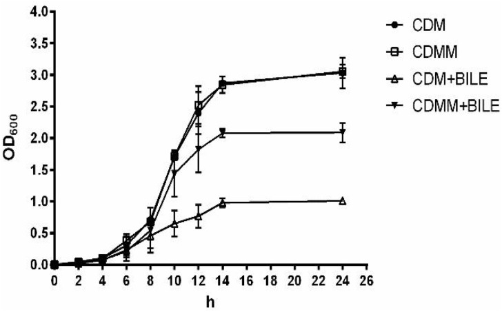 FIGURE 2