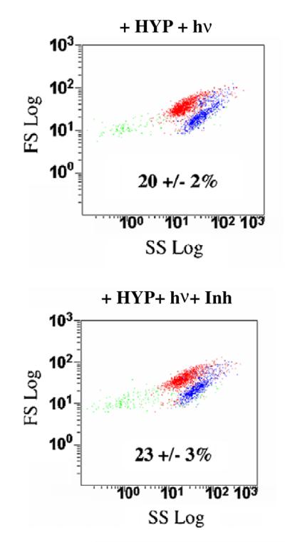 Fig. 8