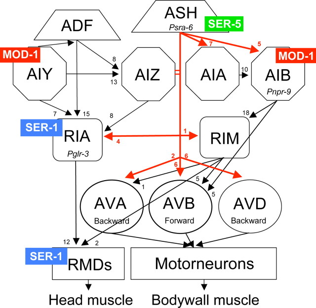 Figure 6.