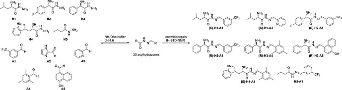 Scheme 3