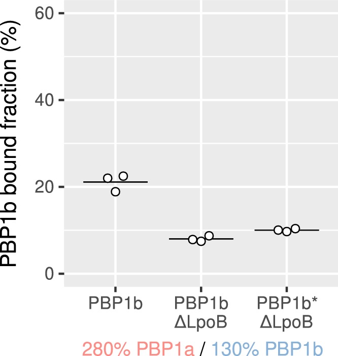 Figure 4—figure supplement 3.