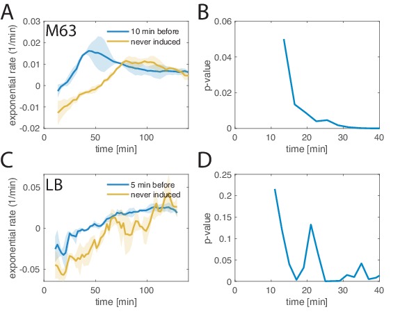 Figure 3—figure supplement 5.