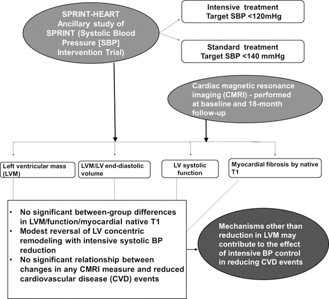 graphic file with name nihms-1530654-f0001.jpg