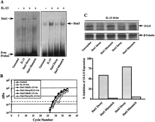 FIG. 8.