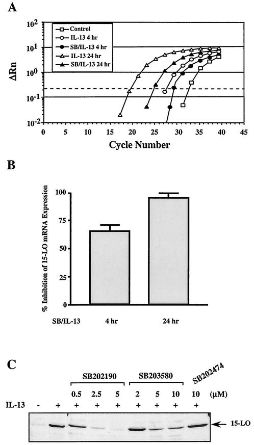 FIG. 7.