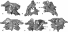 Fig. 5