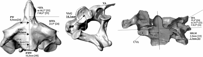 Fig. 3