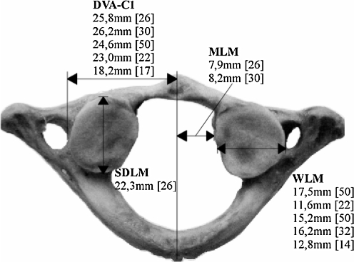 Fig. 2