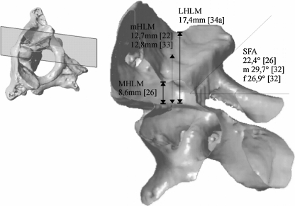 Fig. 7