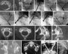 Fig. 9