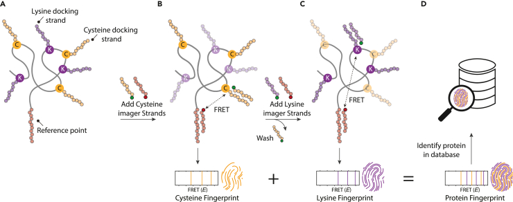 Figure 1