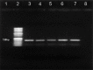Figure-2