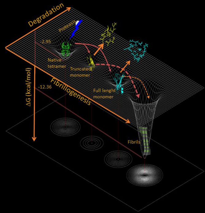 FIGURE 2