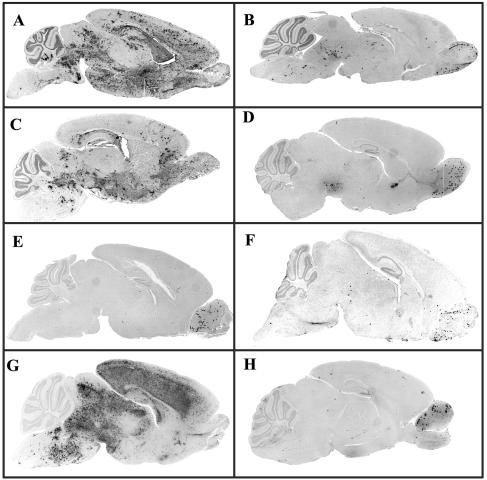 FIG. 5.